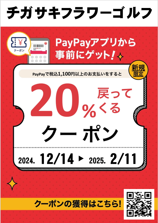 pay20 2412